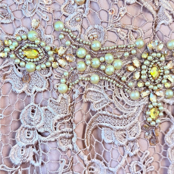 JVN Embroidered Lace Dress in Tan - Picture 3 of 11